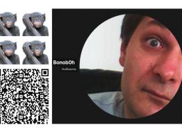 Guillaume / Bonoboh